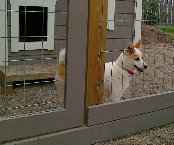 Korpikulkurin Lilli (kuva: Tarja Virolainen)